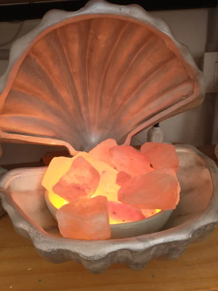Lámpara de Sal Caracola – Brillo Natural y Armonía